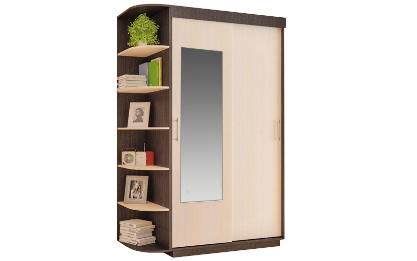 Шкаф-купе «ШОН-6» 